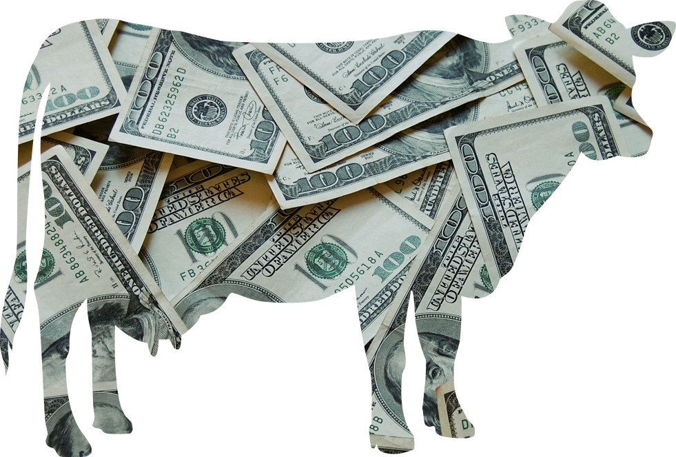 sacred cows of personal finance